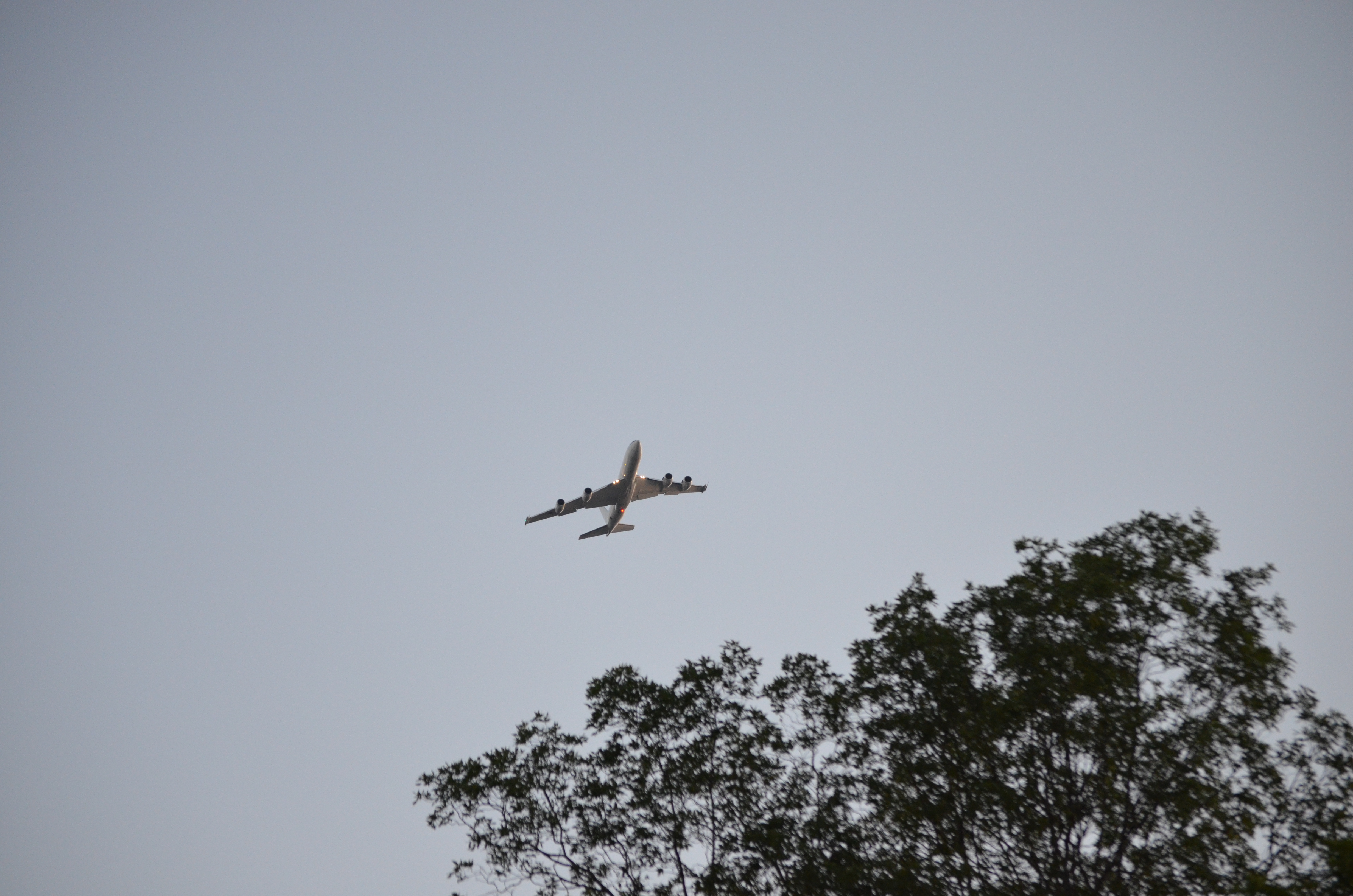 ./2020/04 - May/DSC_0294.JPG